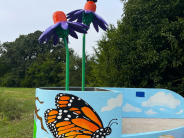 Butterfly Garden