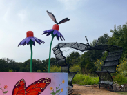 Butterfly Garden