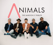 Animals- Maroon 5 Tribute Band Animals- Maroon 5 Tribute Band