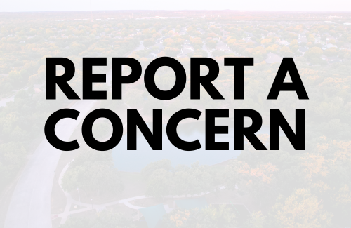 reports