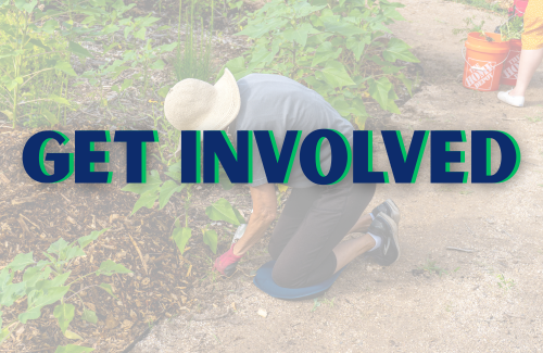 Keep Corinth Beautiful- Get Involved