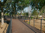 boardwalk