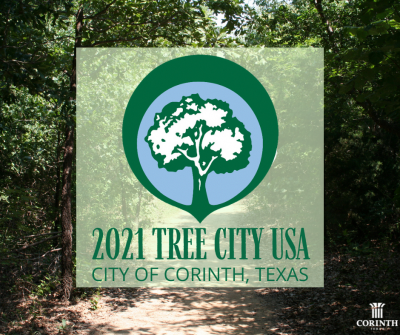 tree city ussa